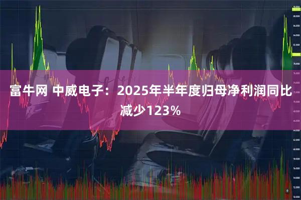 富牛网 中威电子：2025年半年度归母净利润同比减少123%