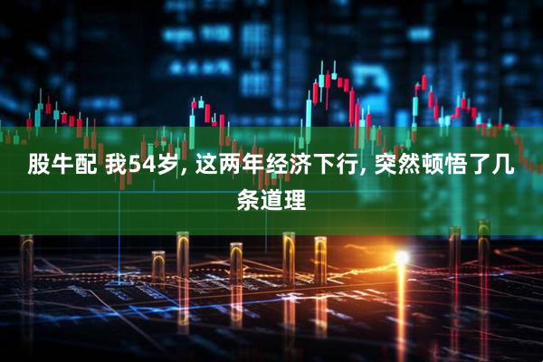 股牛配 我54岁, 这两年经济下行, 突然顿悟了几条道理