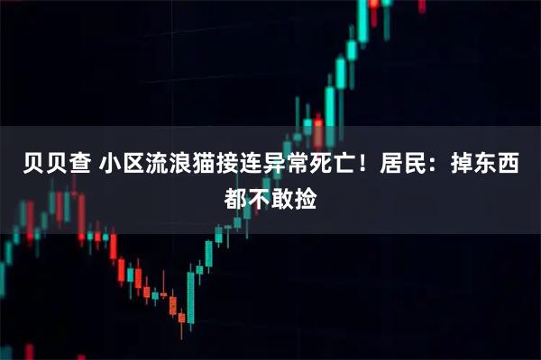 贝贝查 小区流浪猫接连异常死亡！居民：掉东西都不敢捡