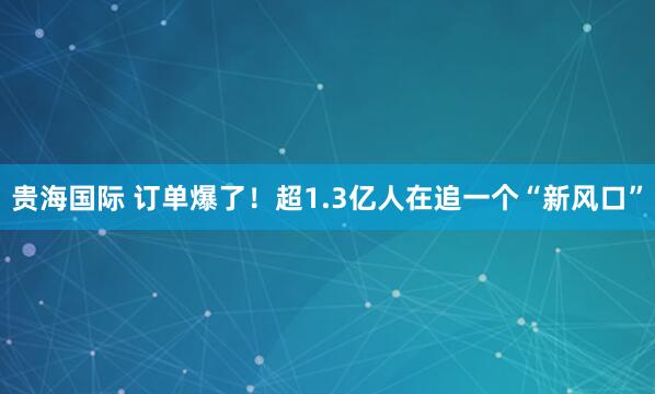 贵海国际 订单爆了！超1.3亿人在追一个“新风口”